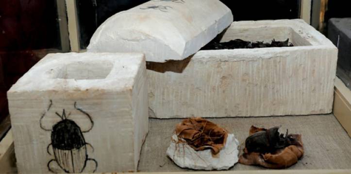 Scarabee mummies opgegraven
