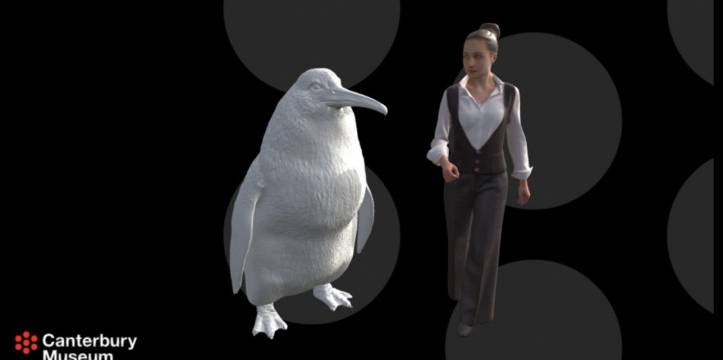 3D model van de nieuw ontdekt pinguïnsoort Crossvallia waiparensis