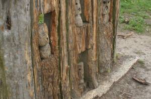 hout in de archeologie