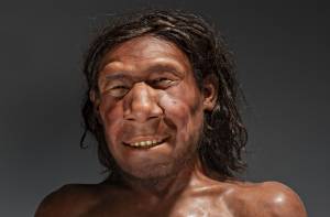 Het gereconstrueerde gezicht van Krijn, de eerste Nederlandse neanderthaler