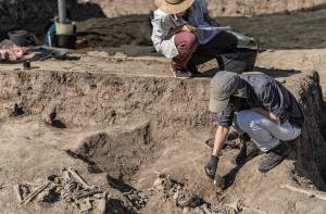 Hoe raken archeologen eigenlijk in hun vak verzeild?