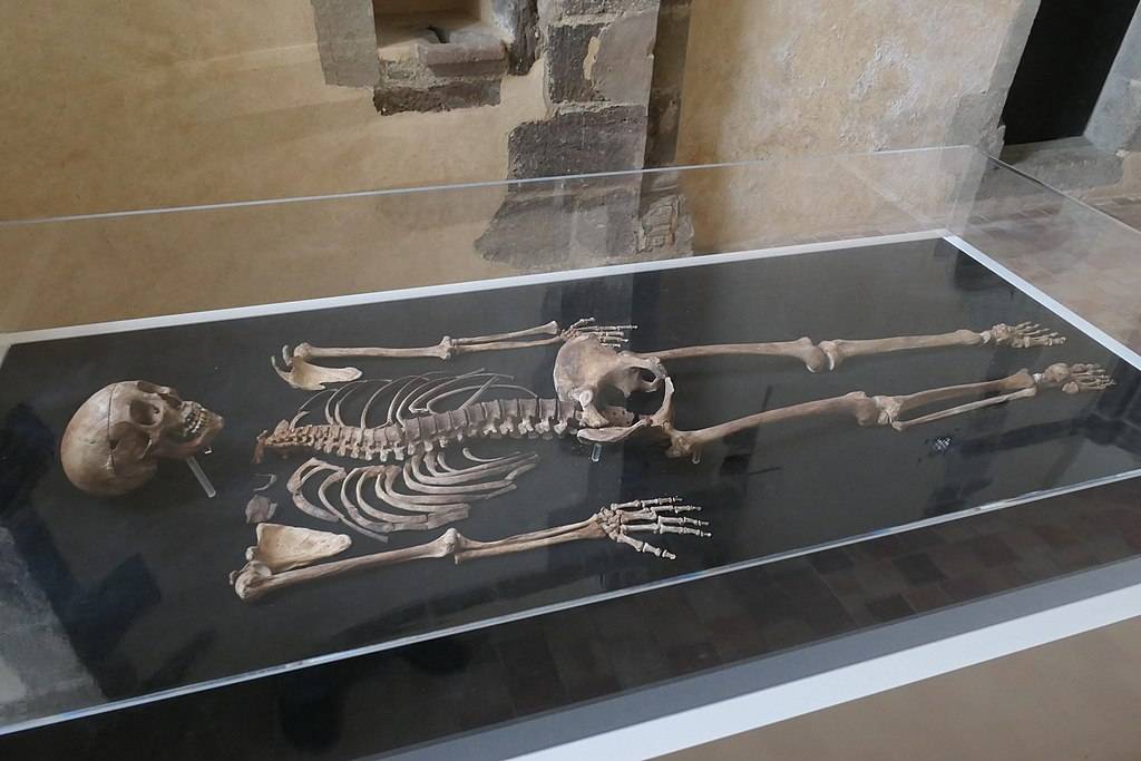 Het skelet van d'Alègre, tentoongesteld in de kapel van het kasteel Laval