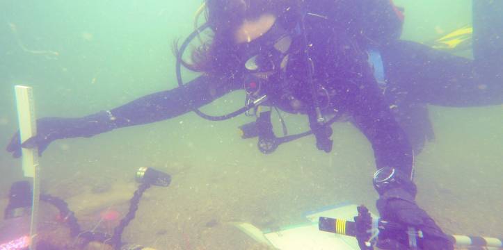 Begraafplaats op zeebodem opgegraven