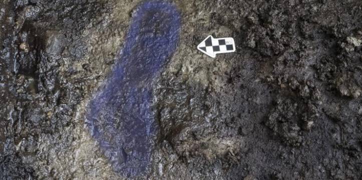 oudste menselijke voetafdrukken