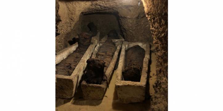 40 mummies gevonden
