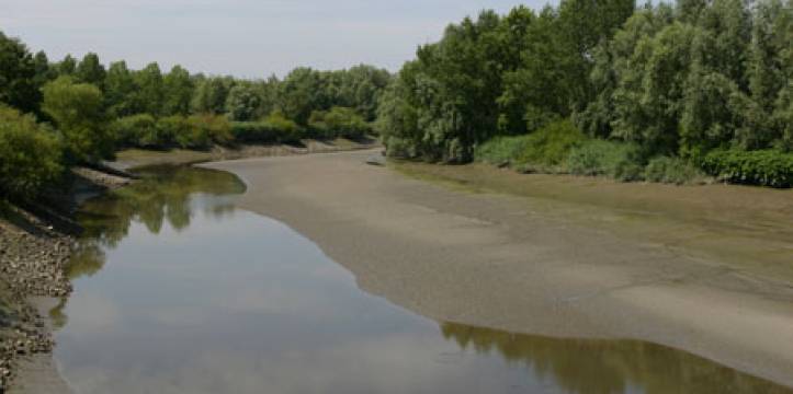 Merovingisch grafveld België