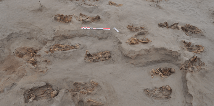 Skeletten van kinderen en lama’s begraven in stuifzand op de HLL-site. 
