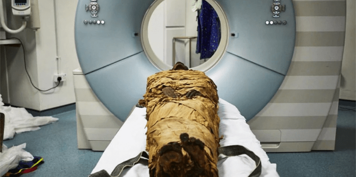 stem mummie onderzocht