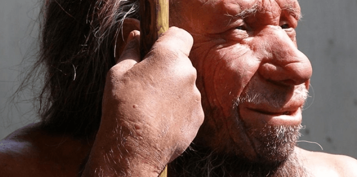 waardoor stierven de neanderthalers uit?