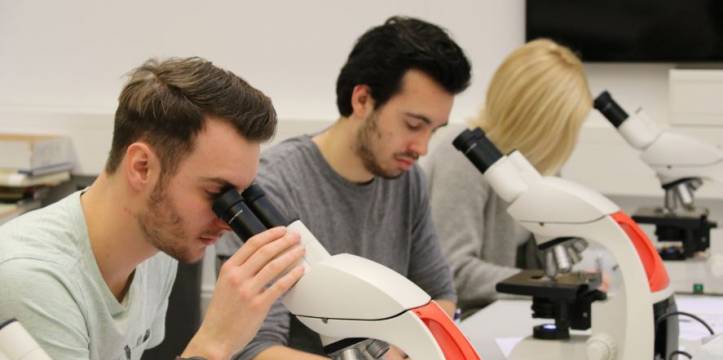 proefstuderen archeologie universiteit leiden