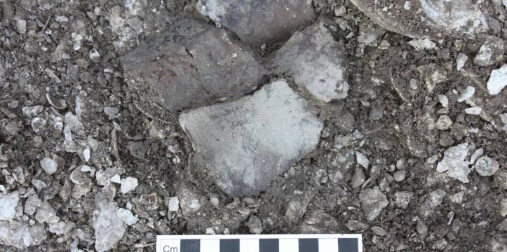 Pottery fragments found at the Havnø kitchen midden, Northern Denmark