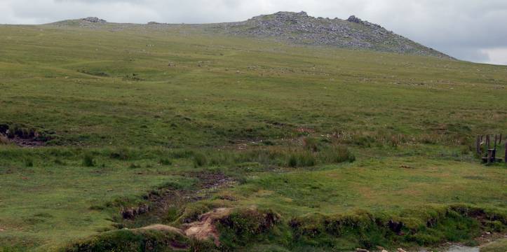 Bodmin Moor