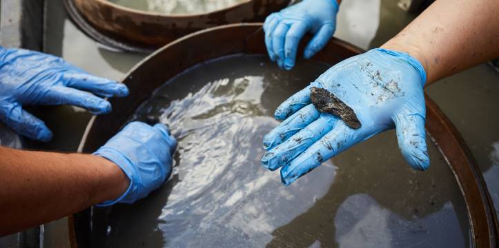 Archeologisch onderzoek Schans Lammen