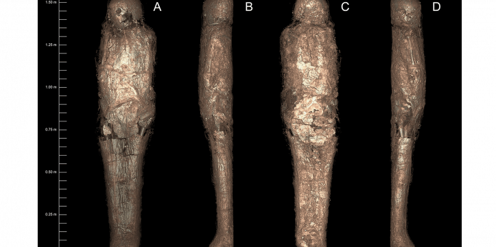 Unieke vondst: mummie bedekt met modder