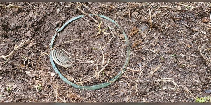 Wandelaar ontdekt schat uit de bronstijd in Zweden