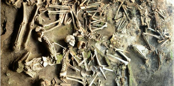De onderzochte skeletten uit Herculaneum