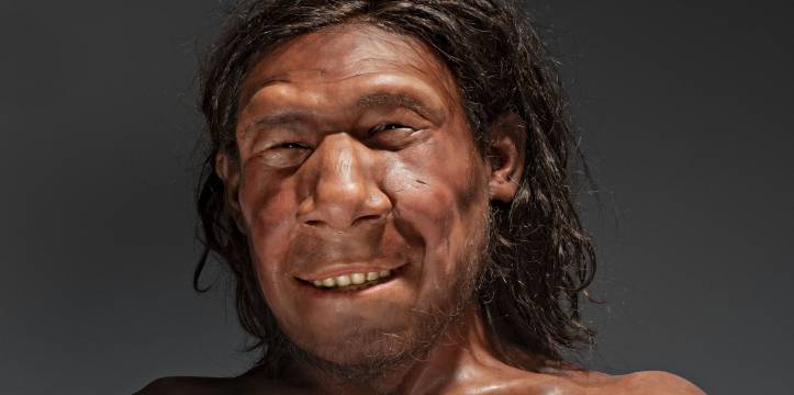 Het gereconstrueerde gezicht van Krijn, de eerste Nederlandse neanderthaler