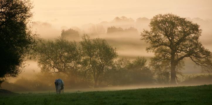 De heuvels in Suffolk vormen een indrukwekkend decor voor The Dig