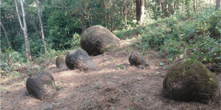 Enkele van de gevonden stenen potten in Assam