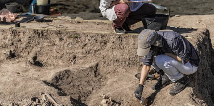 Hoe raken archeologen eigenlijk in hun vak verzeild?