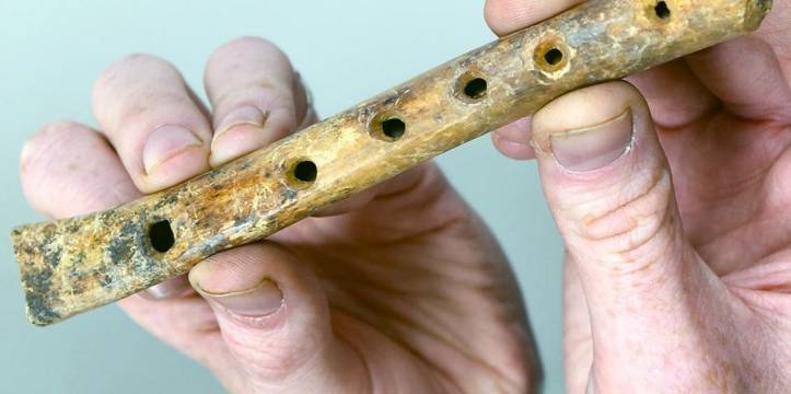 De gevonden middeleeuwse fluit. Het mondstuk ontbreekt vermoedleijk, maar verder verkeert het instrument in opmerkelijk goede staat