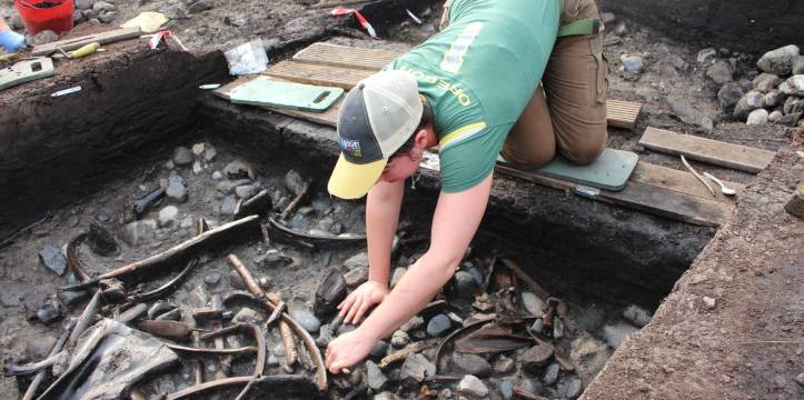 Archeologen leggen botten en steentijdgereedschappen bloot tijdens de opgravingen bij Scarborough