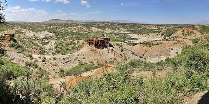 De Olduvai-kloof gezien van bovenaf. 