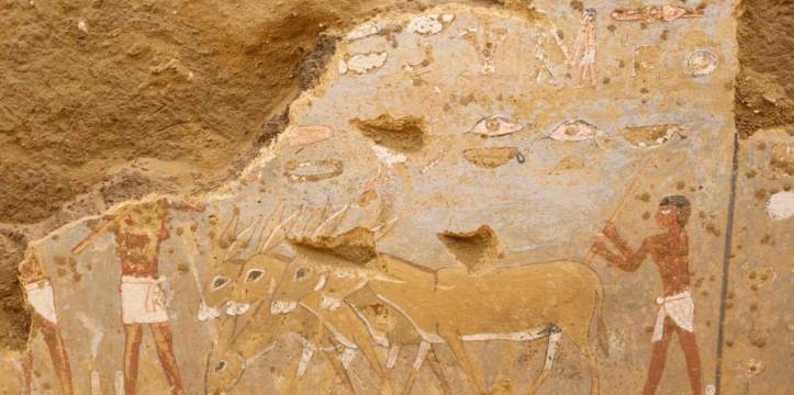 De muurschilderingen in de mastaba laten taferelen uit het leven in het oude Egypte zien, zoals hier de verkoop van dieren en andere handelswaar op een markt. 