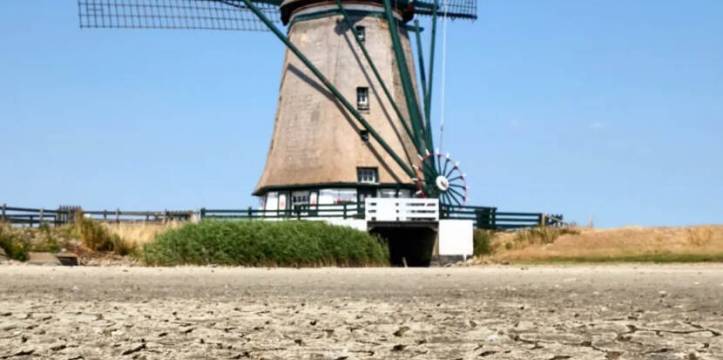 Wanneer het Nederlandse grondwaterpeil daalt, verwachten archeologen dat ontelbare vondsten van organisch materiaal worden aangetast en zullen vergaan
