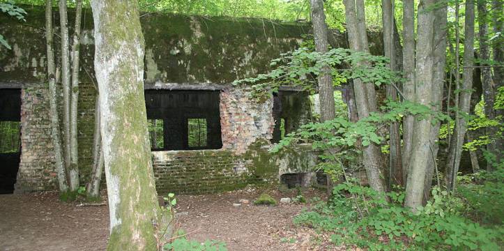 De vondst werd gedaan in de ruïne van het nazi-hoofdkwartier Wolfsschanze in het noordoosten van Polen