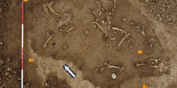 In Herwen-Hemeling (gemeente Zevenaar) ontdekten archeologen eind 2021 de sporen van een compleet Romeins heiligdom