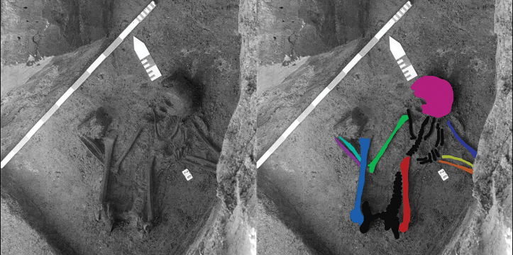 In België hebben archeologen een Gallo-Romeins graf gevonden met een samengesteld 'puzzelskelet', bestaande uit de botten van 5 verschillende mensen uit de steentijd en late oudheid.