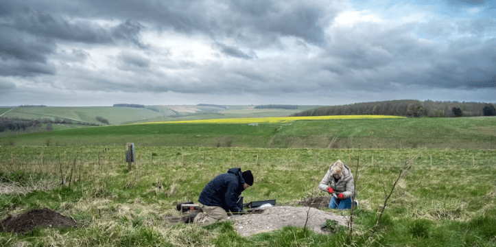 Opgraving in Middens