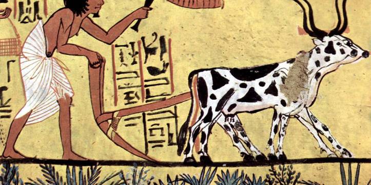 Afbeelding over het ontstaan van landbouw in het oude Egypte