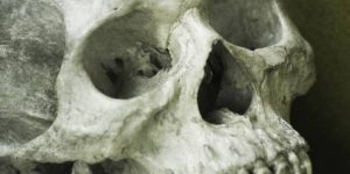 Op de begraafplaats werd onder andere een graf van een jonge Vikingkrijger (links) gevonden. De Vikingkrijger stierf als twintiger een gewelddadige dood.