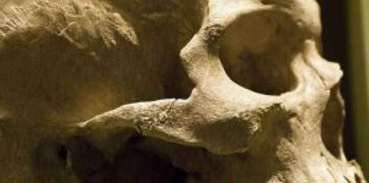 In Roemenië zijn twee skeletten met ineengeslagen handen gevonden.