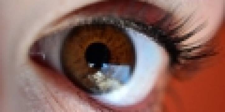 Nieuwe DNA-techniek achterhaal haar- en oogkleur tot achthonderd jaar geleden. Beeld door Mihai Tamasila Nieuwe DNA-techniek achterhaalt haar- en oogkleur.