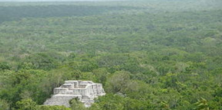 Het tropisch regenwoud in Chalakmul, met een eerder ontdekte Maya-piramide