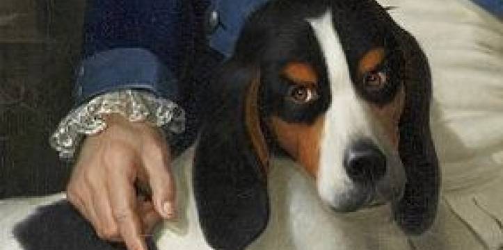 Een Berner Laufhund wordt vaak ingezet als speurhond, hoewel de archeologische speurhond een labrador is. Een speurhond heeft in Australië een 600 jaar oud skelet gevonden.