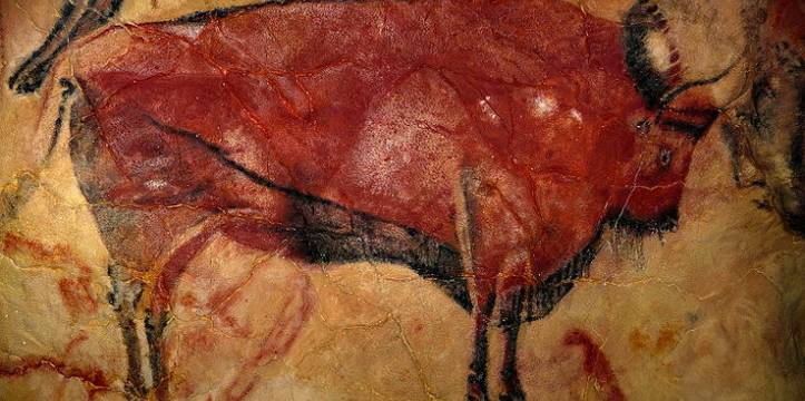 Een grottekening van een Steppenwisent, een uitgestorven rundersoort, in de Spaanse Altamira grot. Er zijn meer theorieën over grottekeningen dan er grottekeningen zijn.