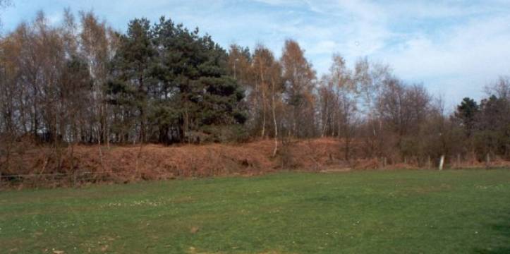 De Tomme nabij de Vlaamse plaats Ottenburg. Er wordt archeologisch onderzoek gedaan bij het monument De Tomme in België.
