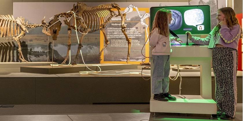 Uitgeleefd! Beesten & Botten uit Brabantse Bodem