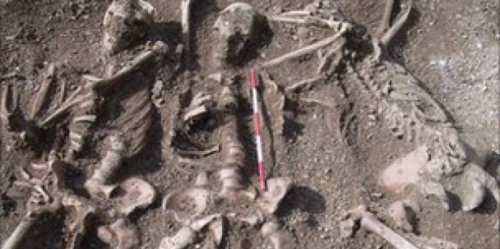 Enkele skeletten van de afgeslachte Vikingen. Enkele skeletten van de afgeslachte Vikingen.