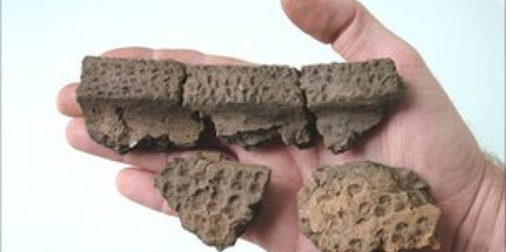 Enkele fragmenten van de opgraving (beeld: BBC) De fragmenten zijn de best bewaarde uit de Steentijd ooit.
