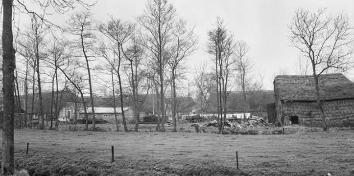 Een aantal rietgedekte boerderijen in Rouveen. Beeld door Rijksdienst voor het Cultureel Erfgoed via Wikimedia. Beeld door Rijksdienst voor het Cultureel Erfgoed via Wikimedia.