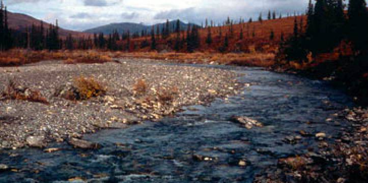 De Agie River in Kobuk Valley National Park. De Agie River in Kobuk Valley National Park.