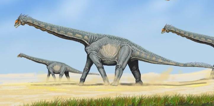 Alamosaurus, Titanosauria Beeld door Bogdanov Alamosaurus, Titanosauria Beeld door Bogdanov