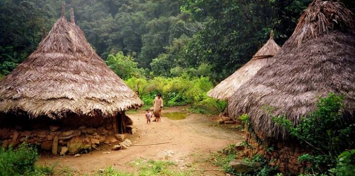 Indianenhuisjes in de Amazone