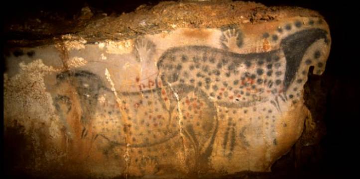 De gevlekte paarden in Peche Merle. Beeld: Center for Prehistory of Pech Merle Onderzoekers bestuurde DNA om te achterhalen of de grottekeningen fictief zijn.