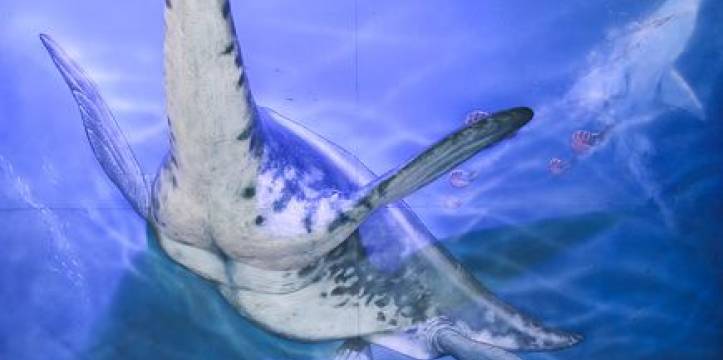 Een reconstructie van de meest recentelijk gevonden plesiosaurus. De plesiosaurus zou zo het Loch Ness monster kunnen zijn.